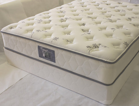 Energie (Plush) - Furnlander