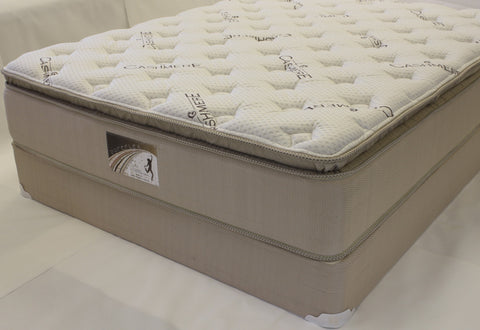 Pureflex (Pillow Top) - Furnlander