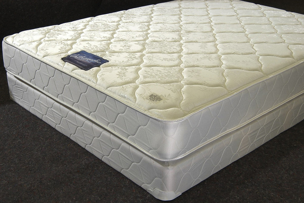 Orthopedic (Plush) - Furnlander